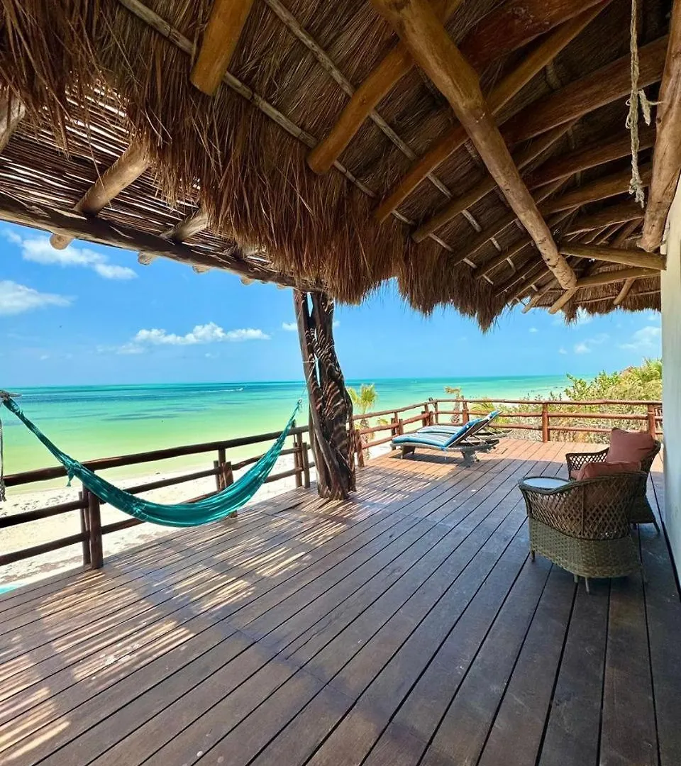 Dk Luxury Ocean Front Villa - Adults Only Isla Holbox