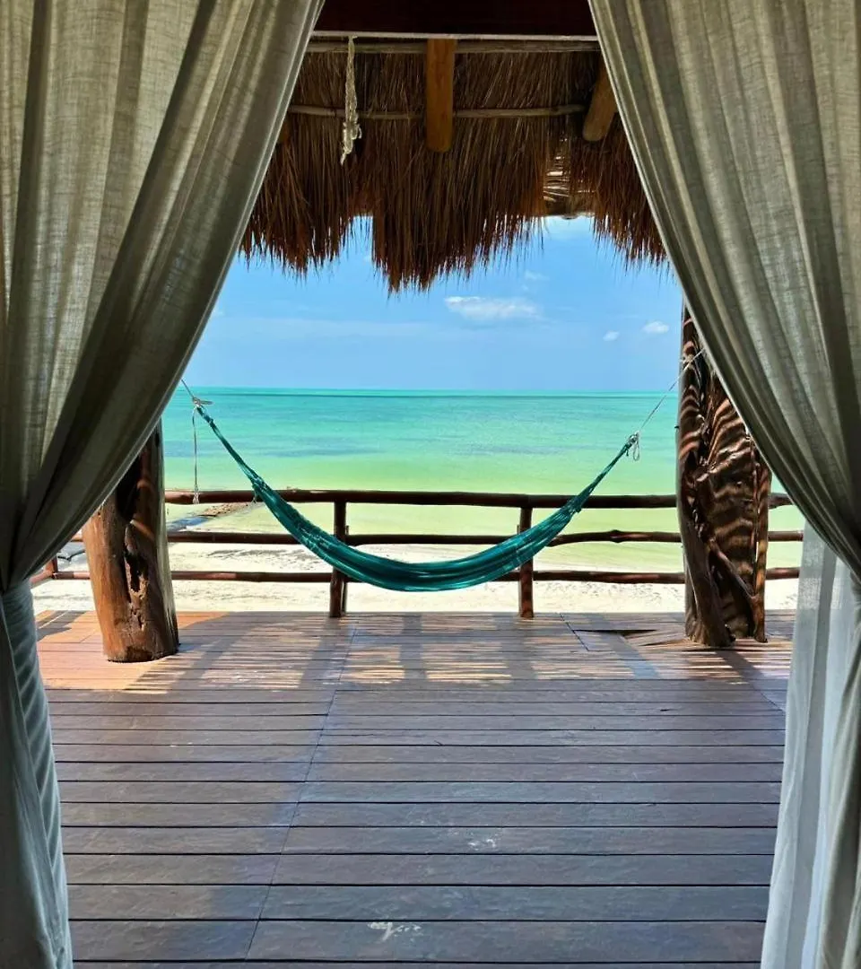 Hotel Dk Luxury Ocean Front Villa - Adults Only Isla Holbox