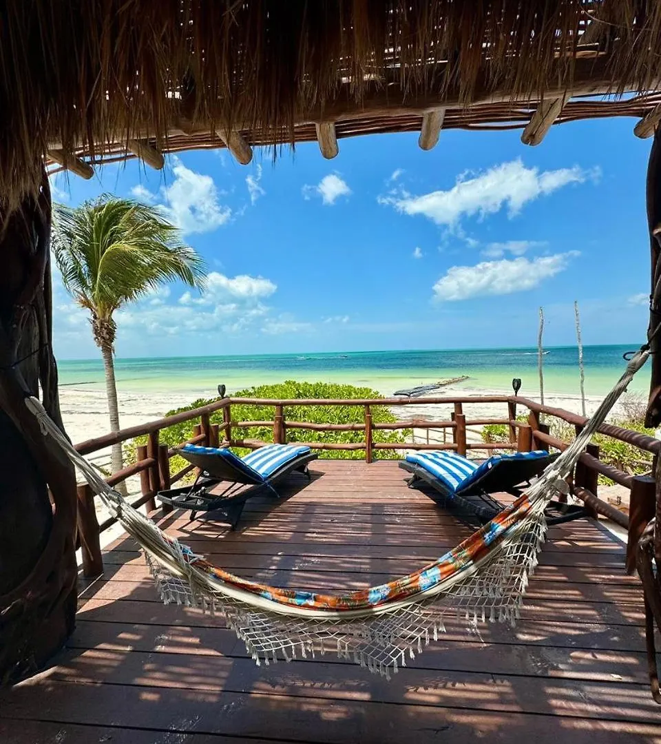 Dk Luxury Ocean Front Villa - Adults Only Isla Holbox 0*,