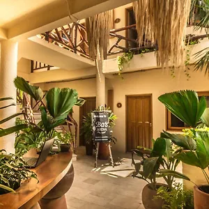 Arena Isla Holbox