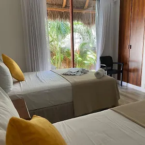 Pelicano Isla Holbox